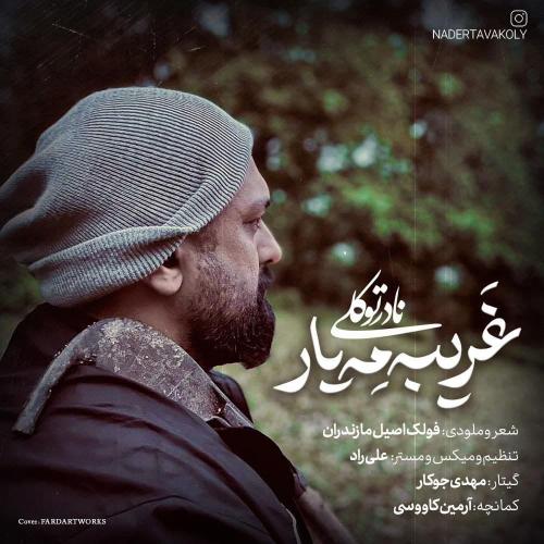 نادر توکلی غریبه مه یار